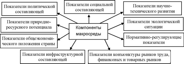 Рисунок 1 - Основные компоненты макроокружения
