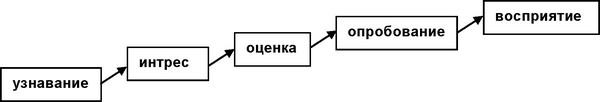Рисунок 18 - Процесс принятия товара-новинки