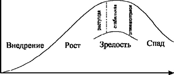 Рисунок 1 - Жизненный цикл товара